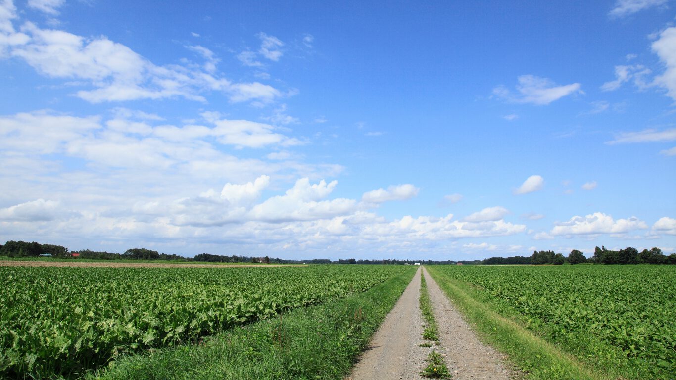 北海道の一本道